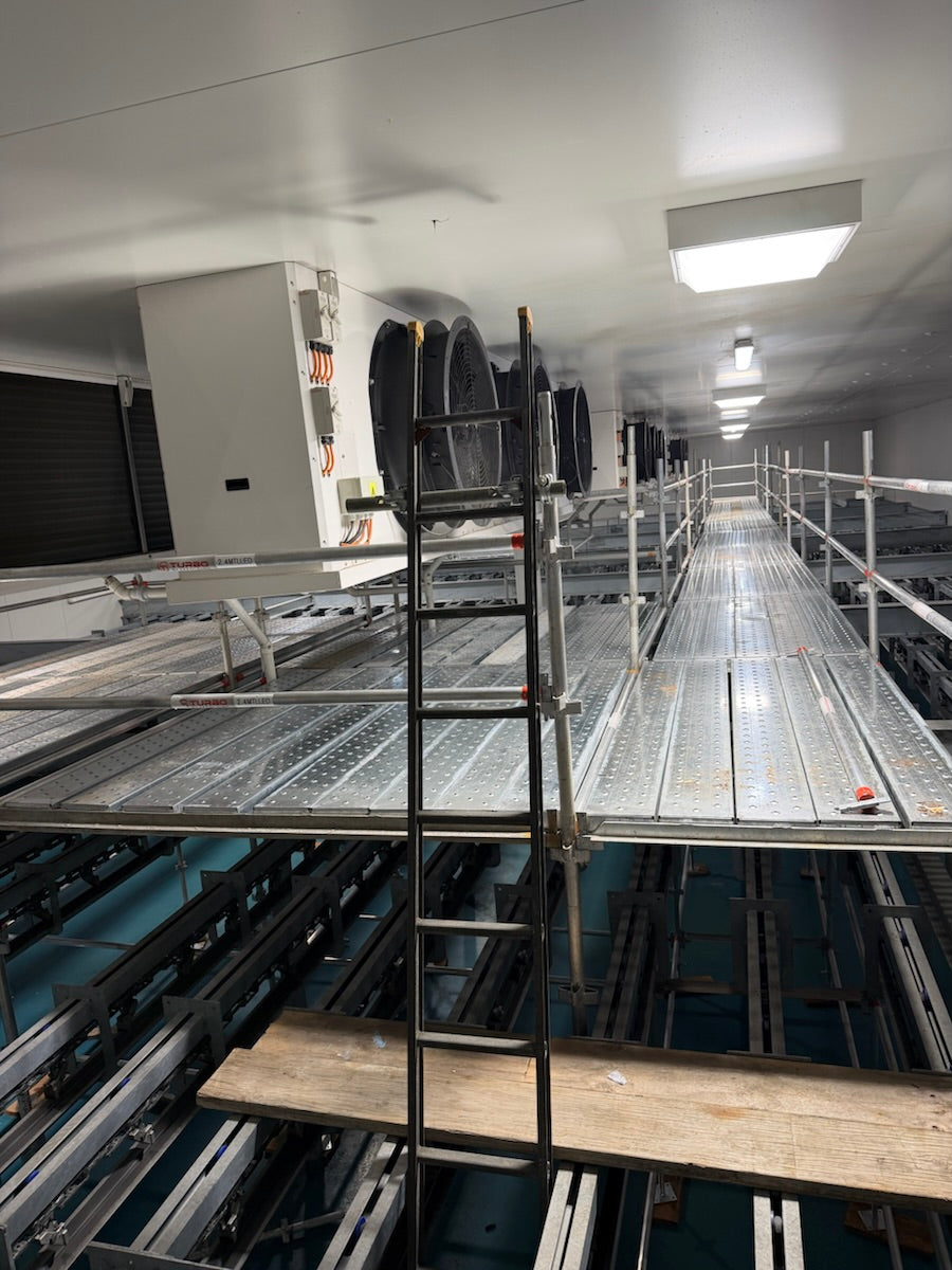Scaffolding hire in Bourke NSW: scaffolding and access solutions erected for a shutdown maintenance at Bourke Abattoir